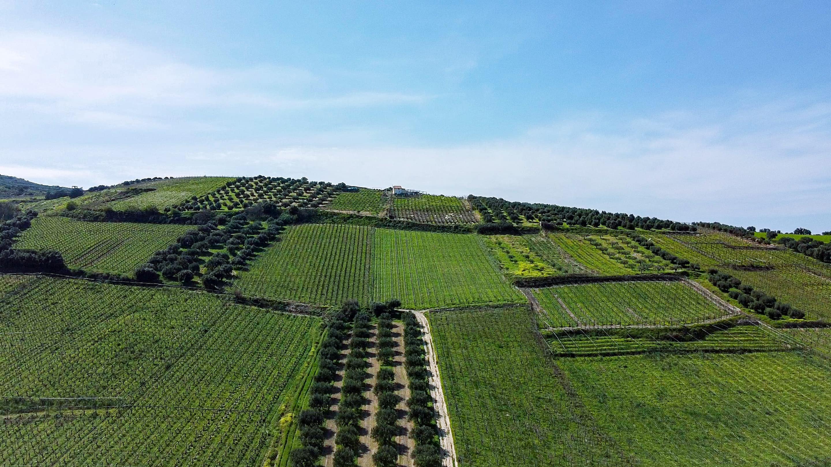 Focus: Agriculture Use Cases